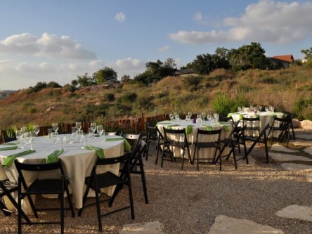 יקב קדמא - כפר אוריה (בקרבת שער הגיא)