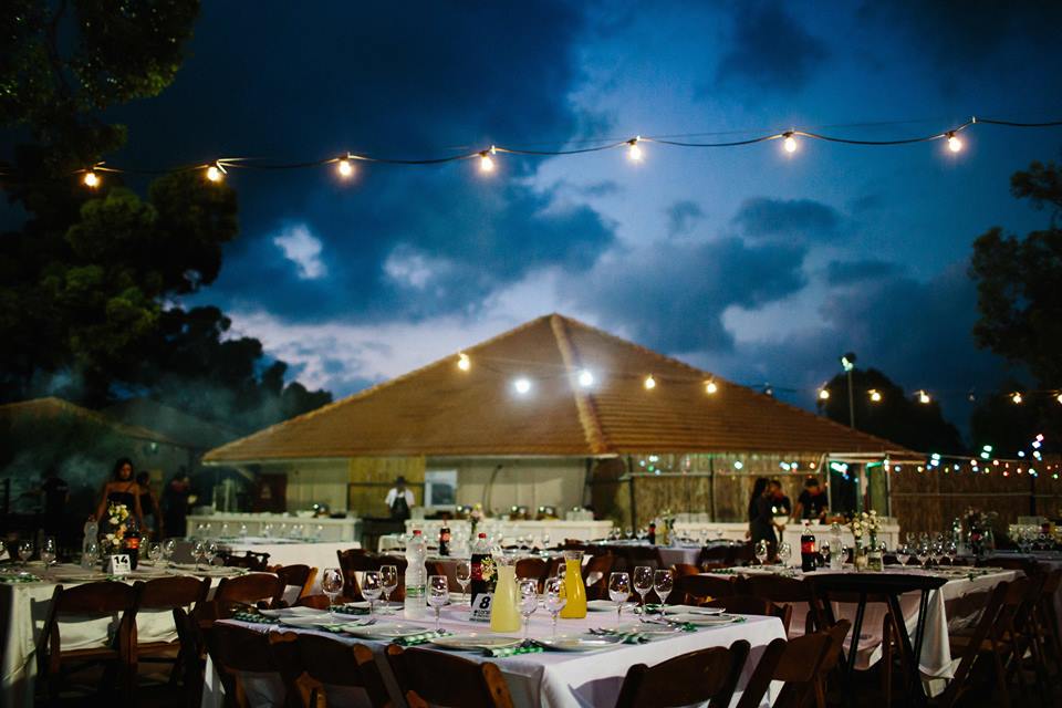 אור ביער - יער יד מרדכי