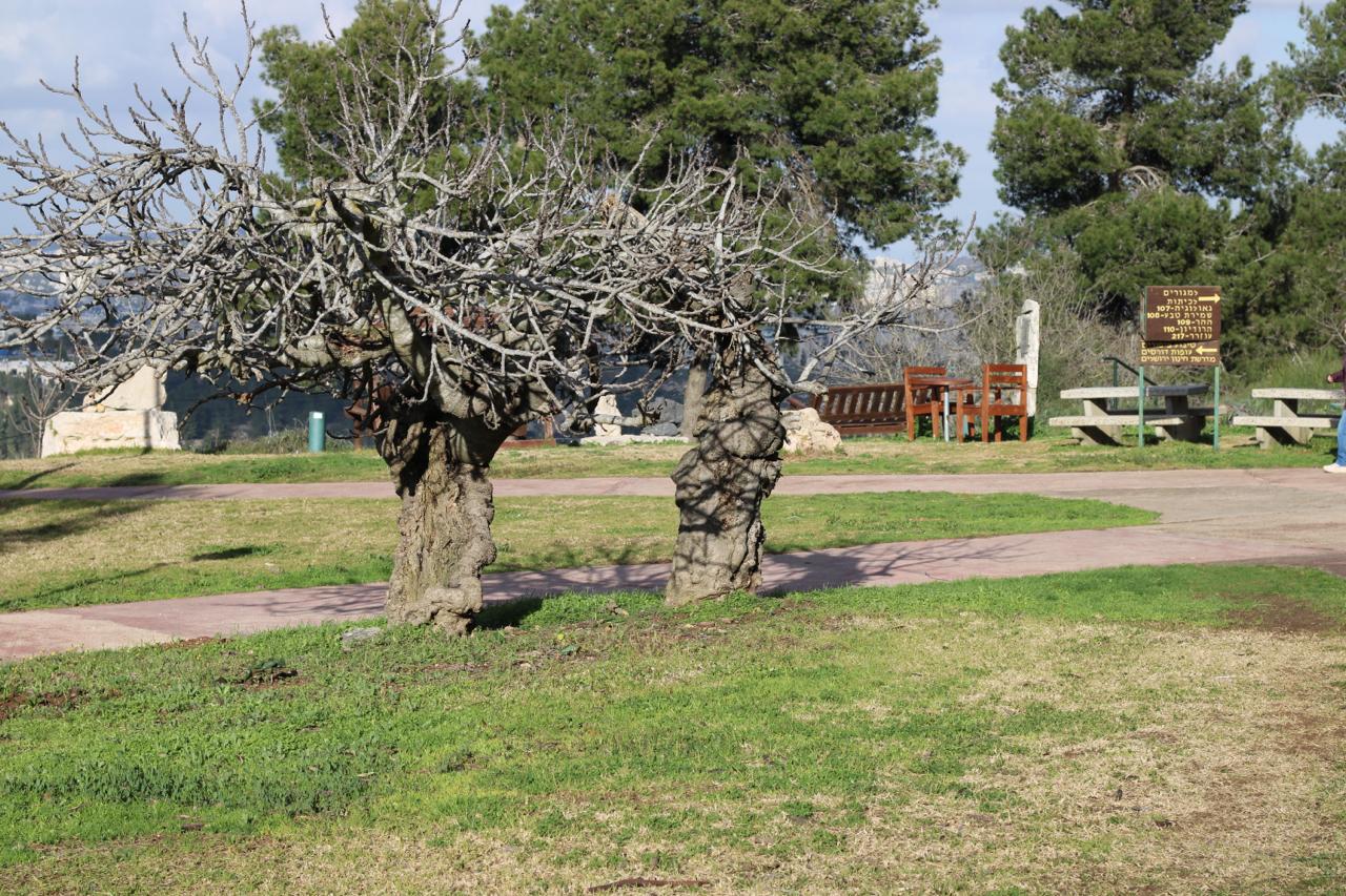 שבת חתן בבית ספר הר גילה - ירושלים