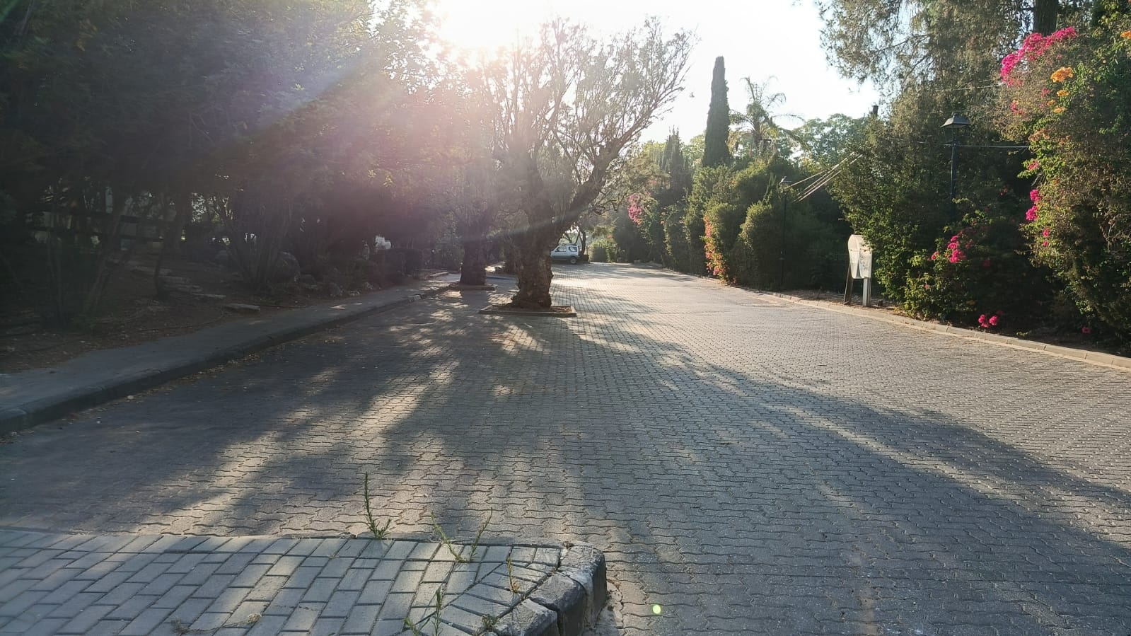 בית כנסת לבר מצווה  - סביון בקעת אונו