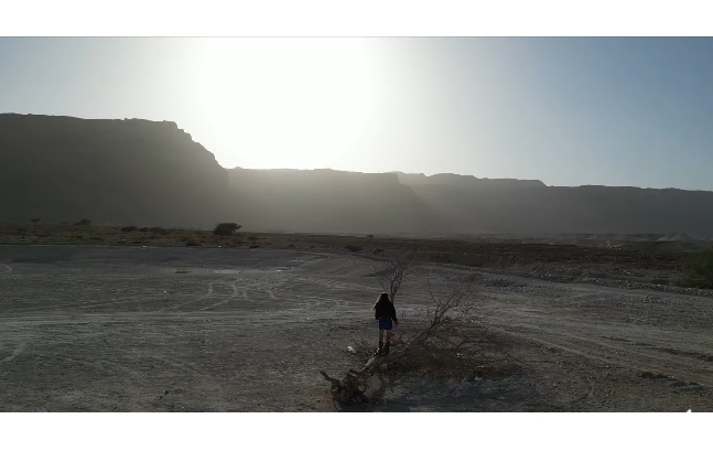 סלייד שואו - מצגות סרטונים לאירועים