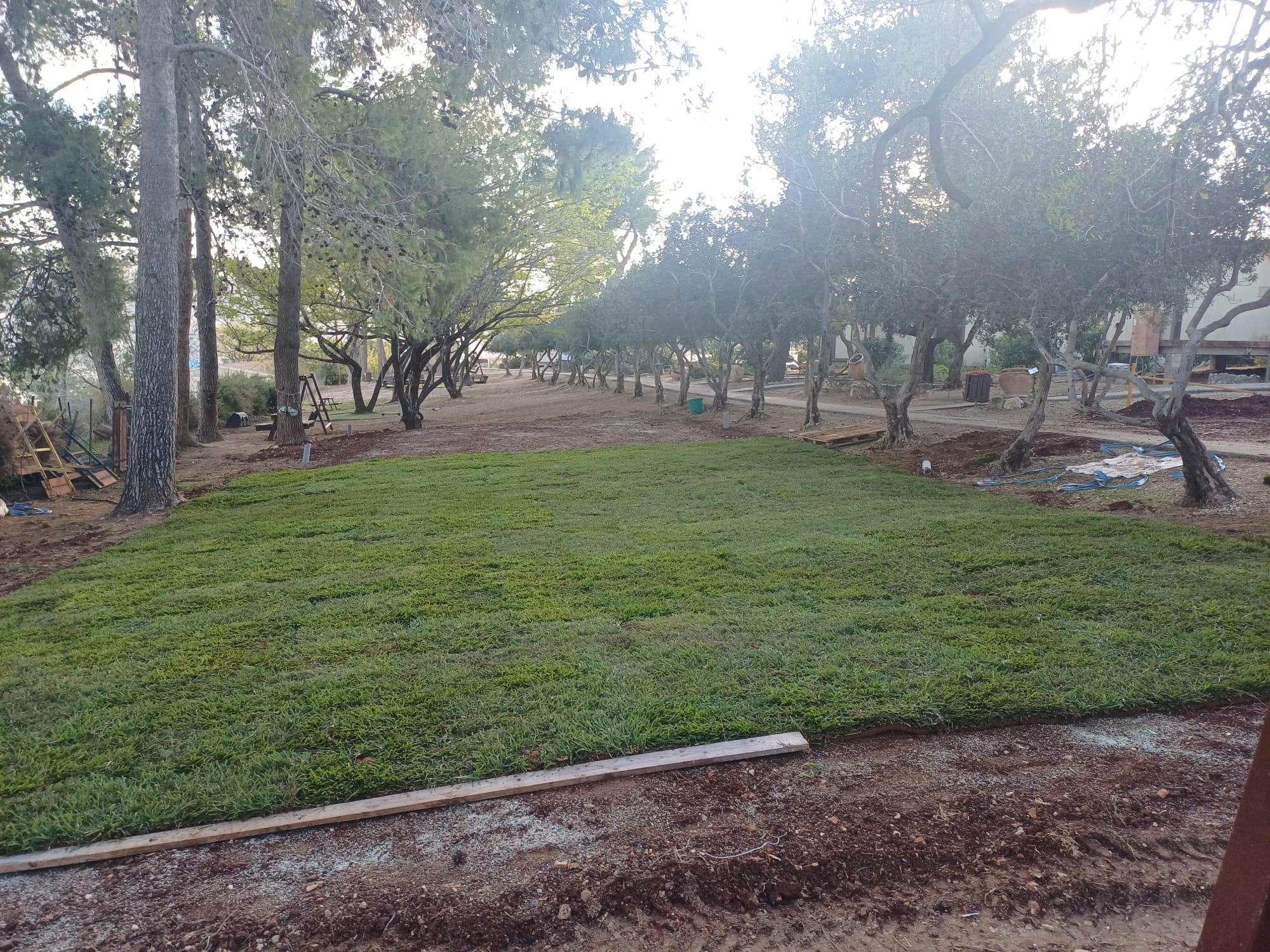 מדרשת שומרון  - שבי שומרון