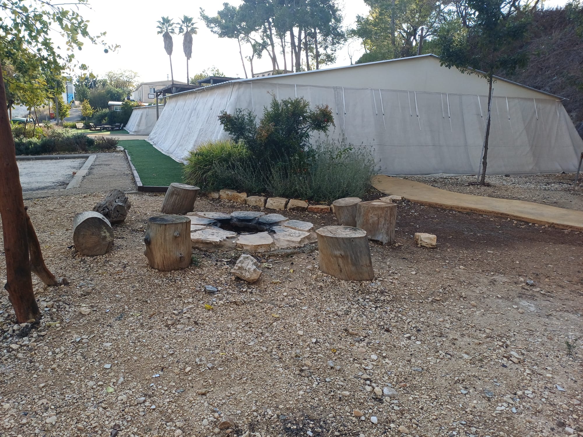 מדרשת שומרון  - שבי שומרון