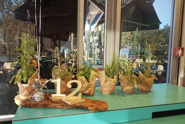 צבעים בפארק אירועים - כפר סבא