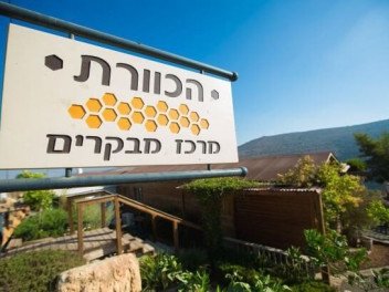 הכוורת - בית חורון