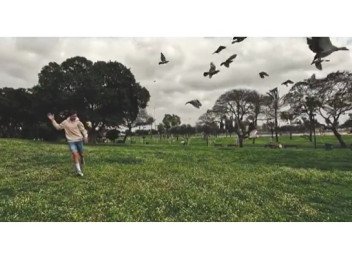 סלייד שואו - מצגות סרטונים לאירועים